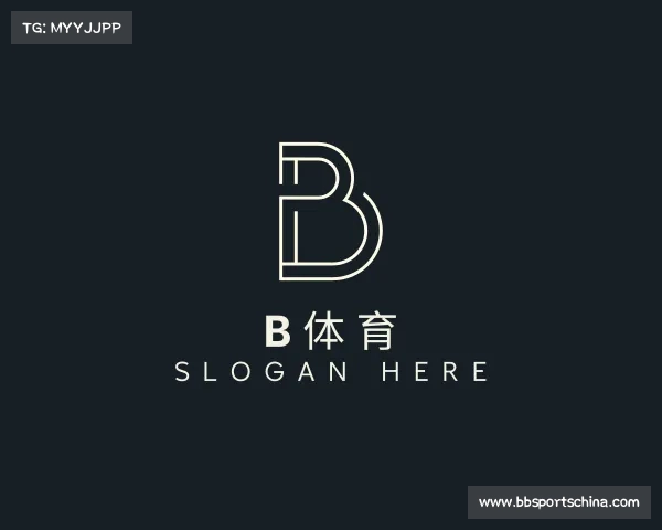 介绍B体育